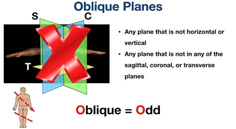 oblique medical terminology.